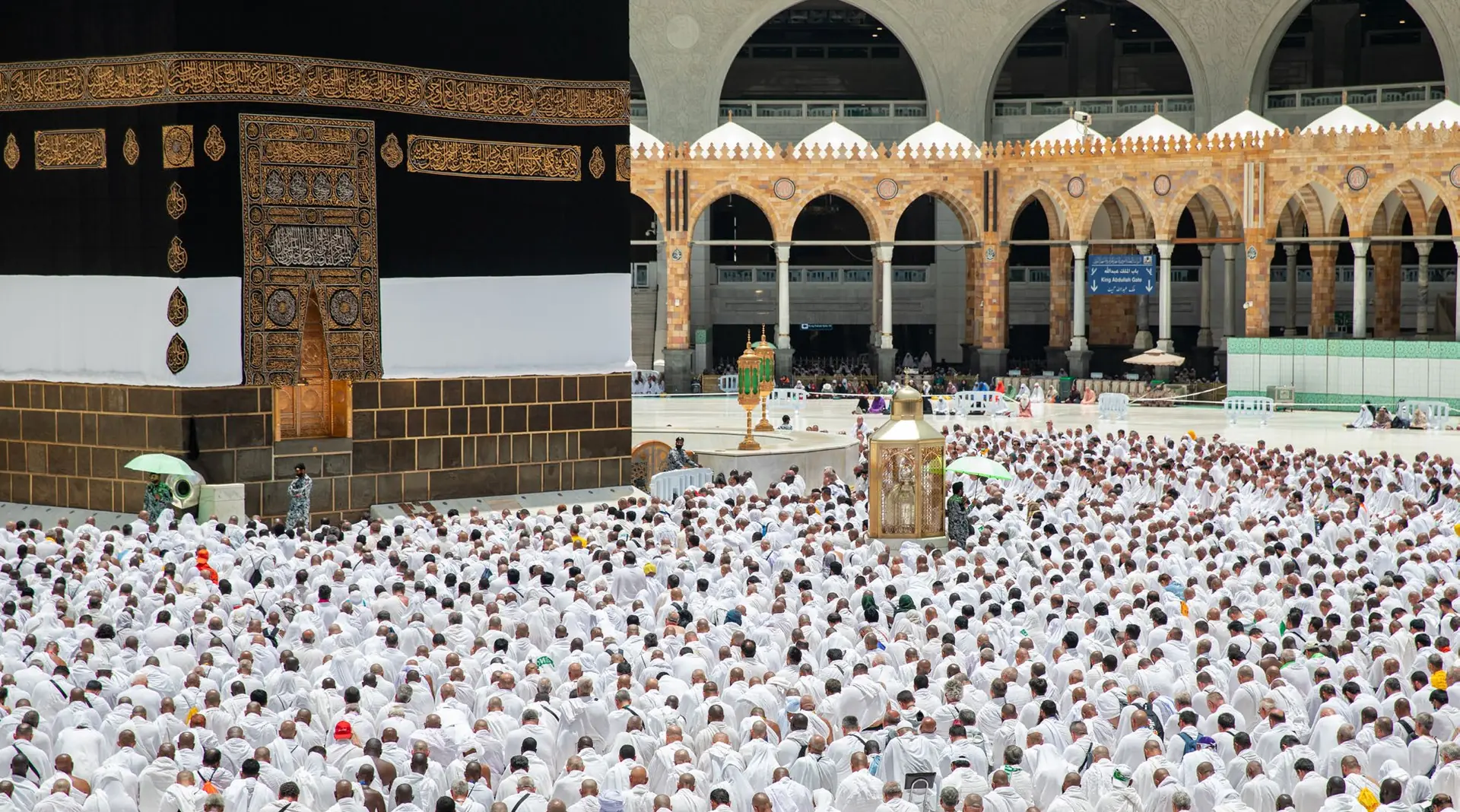 توثيق عين الخيال لموسم الحج